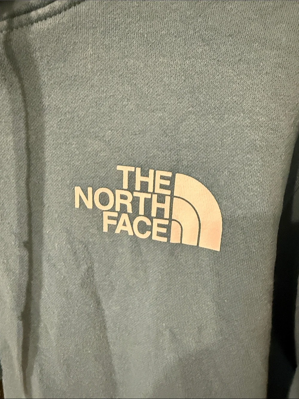 The North Face Men's Teal Pullover Hoodie Logo graphic L Large sweatshirt aqua